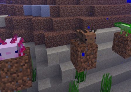 minecraft-axolotl.jpg